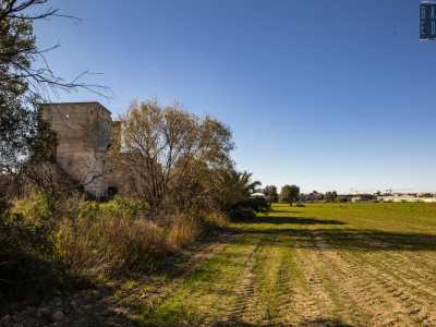 Ci incamminiamo quindi lungo il sentiero e dopo un centinaio di metri sulla nostra destra si apre un campo leggermente in altura dove, nascosto dalla vegetazione, si erge a un antico fabbricato in pietra